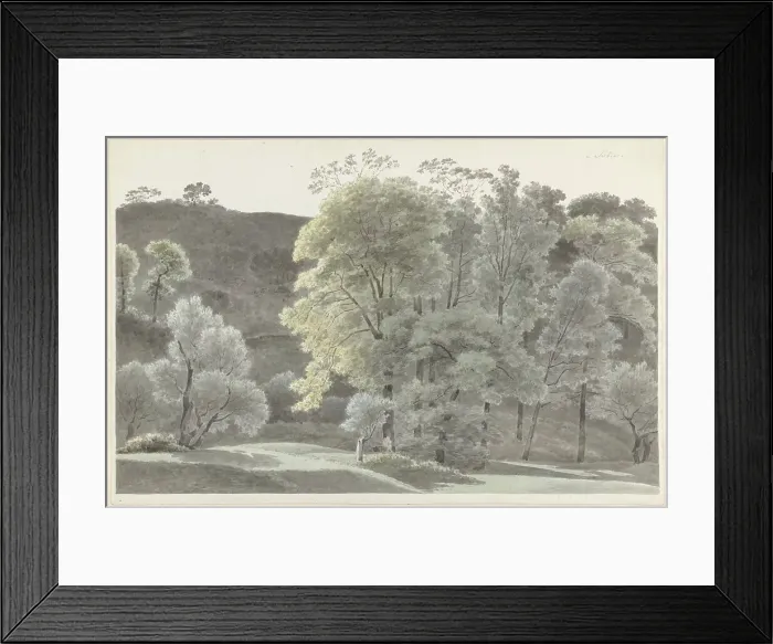 Framed Print : Trees in the Subiaco area, 1778-1847. Creator: Josephus Augustus Knip Framed Print : Trees in the Subiaco area, 1778-1847. Creator: Josephus Augustus Knip