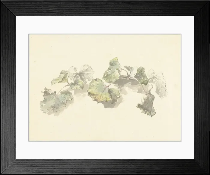 Framed Print : Study of leaves, 1787-1847. Creator: Josephus Augustus Knip Framed Print : Study of leaves, 1787-1847. Creator: Josephus Augustus Knip