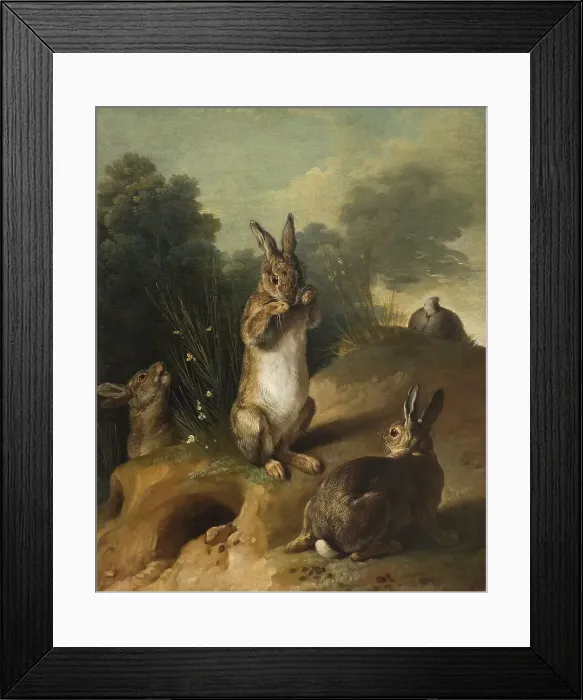 Framed Print : Rabbits, between 1720 and 1729. Creator: Alexandre François Desportes Framed Print : Rabbits, between 1720 and 1729. Creator: Alexandre François Desportes