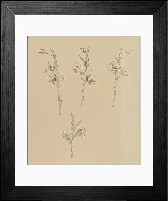 Framed Print : Flower studies, 1887-1924. Creator: Julie de Graag Framed Print : Flower studies, 1887-1924. Creator: Julie de Graag