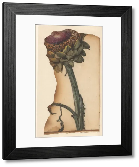 Framed Print : Sunflower (snippet), 1887-1924. Creator: Julie de Graag Framed Print : Sunflower (snippet), 1887-1924. Creator: Julie de Graag