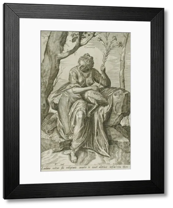 Framed Print : Chastity, 1560. Creator: Cornelis Cort Framed Print : Chastity, 1560. Creator: Cornelis Cort