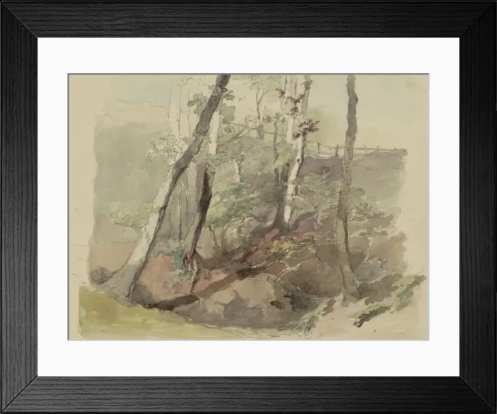 Framed Print : Trees bordered by a fence on the Hoog Oorsprong estate, 1864-c.1865. Creator: Maria Vos Framed Print : Trees bordered by a fence on the Hoog Oorsprong estate, 1864-c.1865. Creator: Maria Vos
