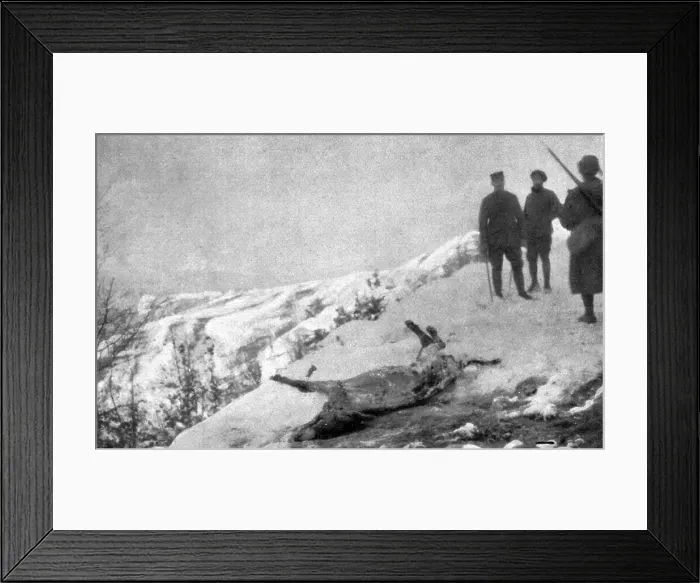 Framed Print : La campagne d'hiver en Orient; Victime de la route: un ane mort d'epuisement, a demi... 1917. Creator: Unknown Framed Print : La campagne d'hiver en Orient; Victime de la route: un ane mort d'epuisement, a demi... 1917. Creator: Unknown