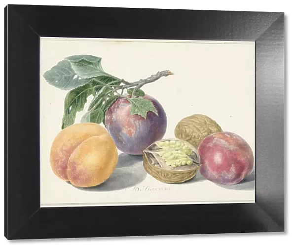 Still life with fruits, 1714-1760. Creator: Michiel van Huysum