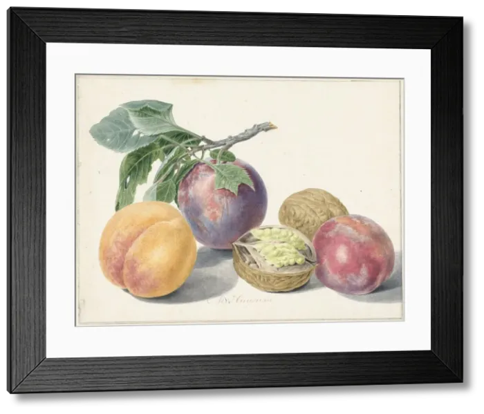 Framed Print : Still life with fruits, 1714-1760. Creator: Michiel van Huysum Framed Print : Still life with fruits, 1714-1760. Creator: Michiel van Huysum