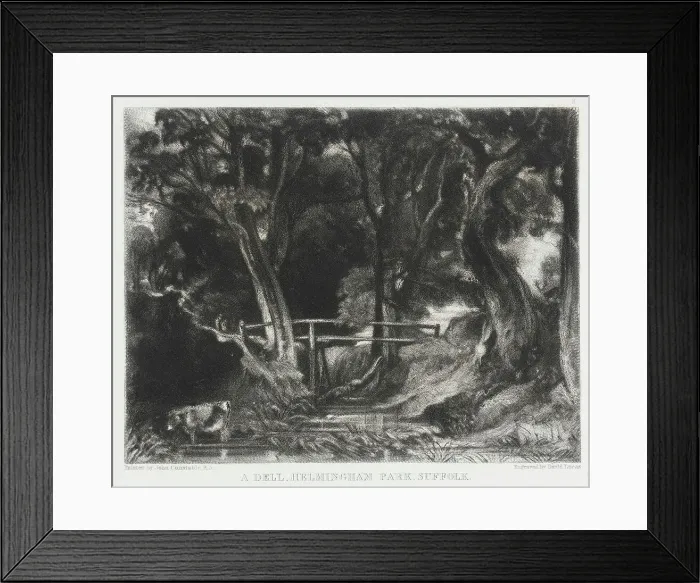Framed Print : A Dell, Helmingham Park, Suffolk, 1830. Creator: David Lucas Framed Print : A Dell, Helmingham Park, Suffolk, 1830. Creator: David Lucas