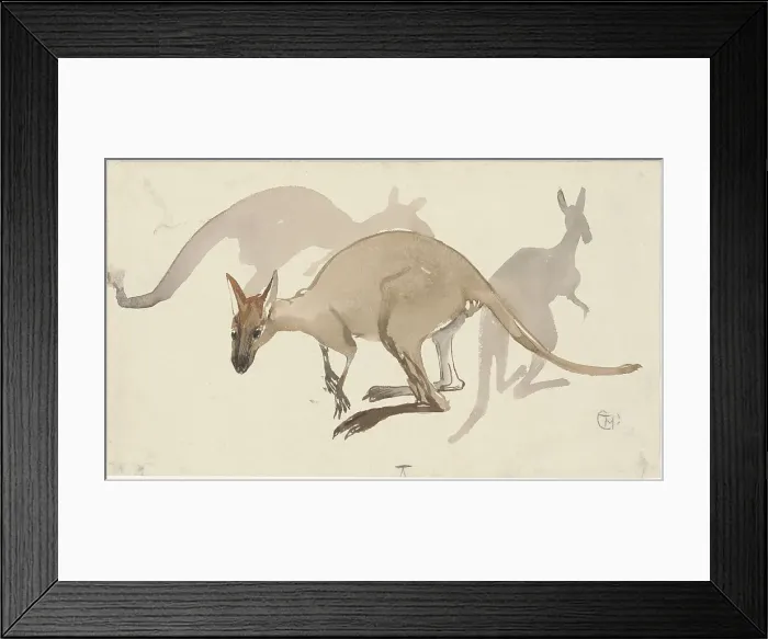 Framed Print : Kangaroos, 1873-1917. Creator: Theo van Hoytema Framed Print : Kangaroos, 1873-1917. Creator: Theo van Hoytema