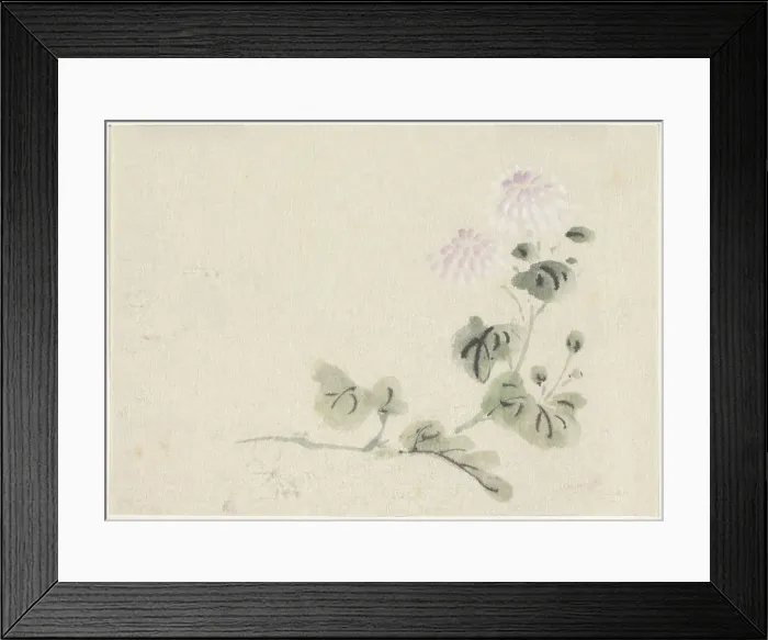 Framed Print : Purple-white chrysanthemums, 1808-1861. Creator: Utagawa Kuniyoshi Framed Print : Purple-white chrysanthemums, 1808-1861. Creator: Utagawa Kuniyoshi