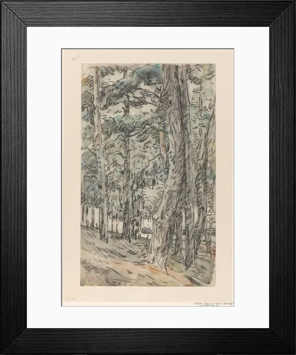 Framed Print : Forest landscape, 1873-1932. Creator: Willem Steenhoff Framed Print : Forest landscape, 1873-1932. Creator: Willem Steenhoff