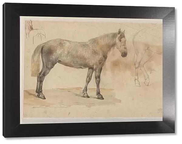 Studies of a horse, 1845-1926. Creator: Willem Carel Nakken