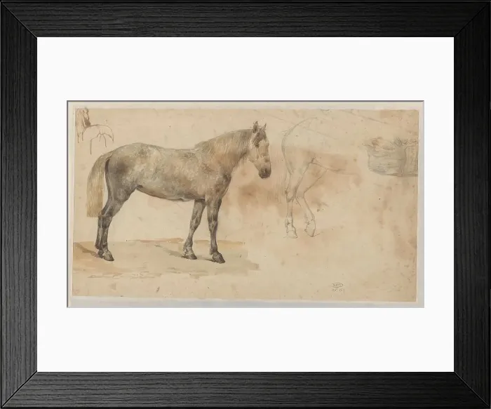 Framed Print : Studies of a horse, 1845-1926. Creator: Willem Carel Nakken Framed Print : Studies of a horse, 1845-1926. Creator: Willem Carel Nakken