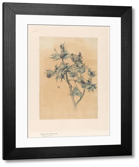 Framed Print : Thistles, in or before 1893. Creator: Willem Wenckebach Framed Print : Thistles, in or before 1893. Creator: Willem Wenckebach