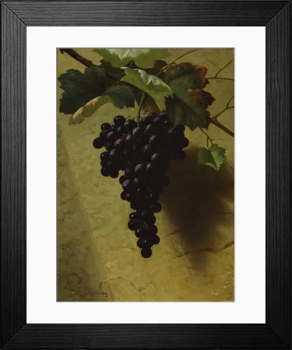 Framed Print : Bunch of Grapes, 1870s. Creator: Andrew John Henry Way Framed Print : Bunch of Grapes, 1870s. Creator: Andrew John Henry Way