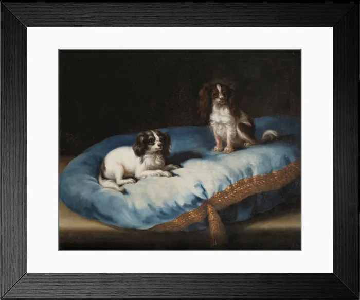Framed Print : Two smaller dogs, c17th century. Creator: David Klocker Ehrenstrahl Framed Print : Two smaller dogs, c17th century. Creator: David Klocker Ehrenstrahl