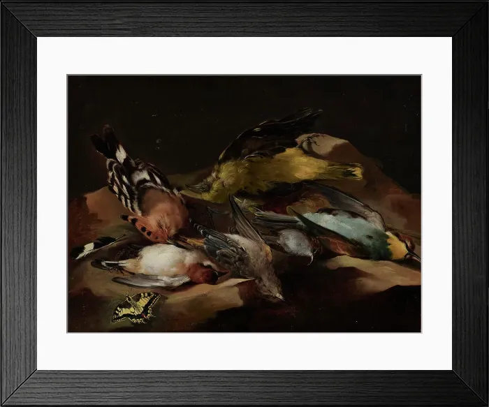 Framed Print : Still Life of Birds and a Butterfly, c1650. Creator: Unknown Framed Print : Still Life of Birds and a Butterfly, c1650. Creator: Unknown