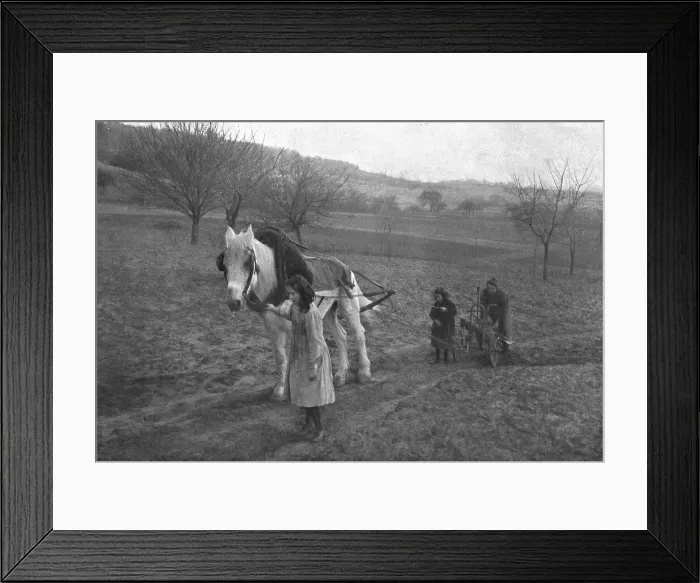 Framed Print : In the French countryside; While father is away fighting!, 1917. Creator: Unknown Framed Print : In the French countryside; While father is away fighting!, 1917. Creator: Unknown