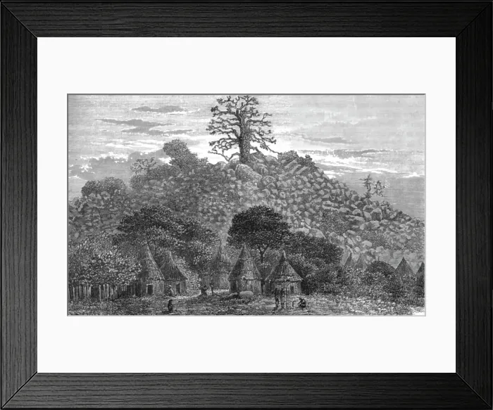 Framed Print : The Baobab Tree of Kouroundingkoto; Journey from the Senegal to the Niger, 1875. Creator: Unknown Framed Print : The Baobab Tree of Kouroundingkoto; Journey from the Senegal to the Niger, 1875. Creator: Unknown
