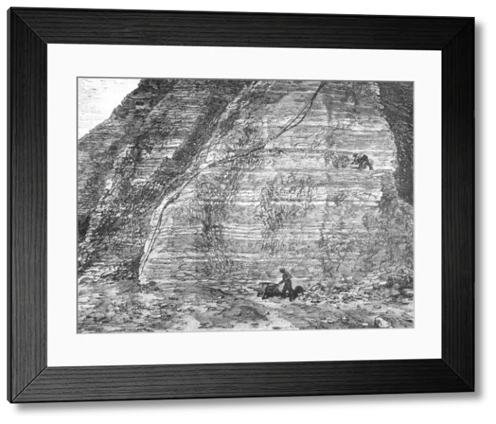 Framed Print : Workings and Guano deposit on the middle Island; About the Chincha Islands, 1875. Creator: Unknown Framed Print : Workings and Guano deposit on the middle Island; About the Chincha Islands, 1875. Creator: Unknown