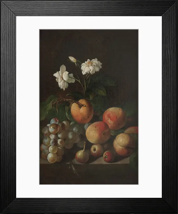 Framed Print : Still Life with Fruit and White Roses, 17th century. Creator: Unknown Framed Print : Still Life with Fruit and White Roses, 17th century. Creator: Unknown