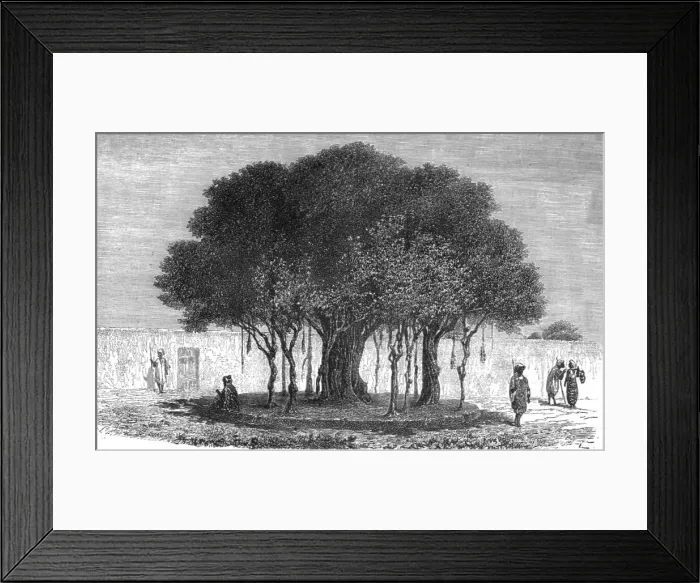 Framed Print : Our Camping-ground at Morebougou; Journey from the Senegal to the Niger, 1875. Creator: Unknown Framed Print : Our Camping-ground at Morebougou; Journey from the Senegal to the Niger, 1875. Creator: Unknown
