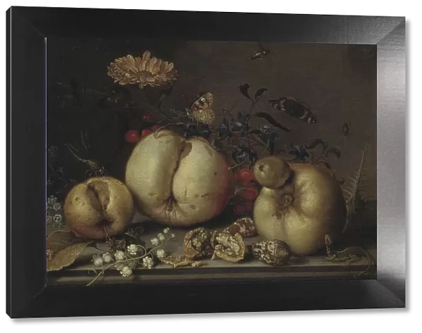 Still Life with Fruit and Shells. Creator: Balthasar van der Ast