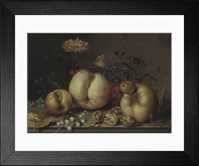 Framed Print : Still Life with Fruit and Shells. Creator: Balthasar van der Ast Framed Print : Still Life with Fruit and Shells. Creator: Balthasar van der Ast