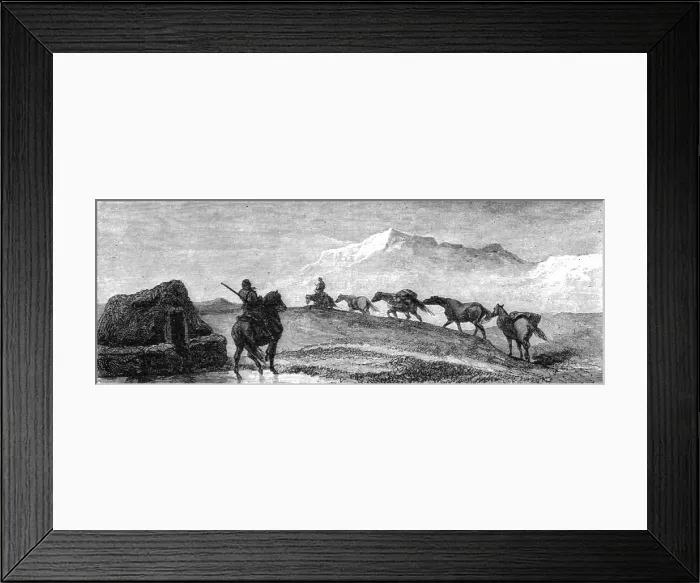 Framed Print : A team of Ponies; An Icelanders Notes on Iceland, 1875. Creator: Unknown Framed Print : A team of Ponies; An Icelanders Notes on Iceland, 1875. Creator: Unknown