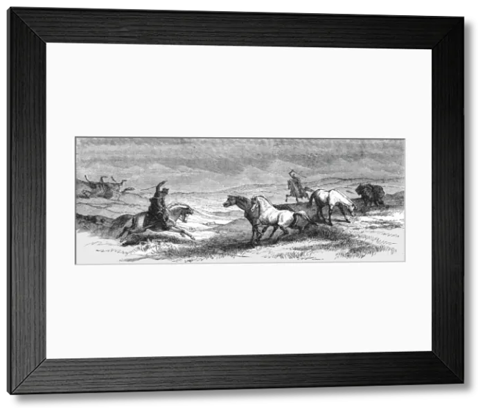 Framed Print : Driving Ponies; An Icelanders Notes on Iceland, 1875. Creator: Unknown Framed Print : Driving Ponies; An Icelanders Notes on Iceland, 1875. Creator: Unknown