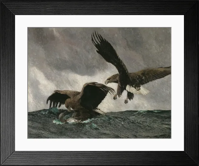 Framed Print : Sea Eagles, 1897. Creator: Bruno Liljefors Framed Print : Sea Eagles, 1897. Creator: Bruno Liljefors