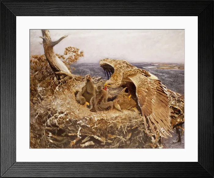 Framed Print : Sea Eagle's Nest, 1907. Creator: Bruno Liljefors Framed Print : Sea Eagle's Nest, 1907. Creator: Bruno Liljefors