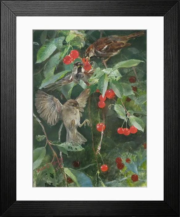 Framed Print : Sparrows in a Cherry Tree. Five studies in one frame, NM 2223-2227, 1885. Creator: Bruno Liljefors Framed Print : Sparrows in a Cherry Tree. Five studies in one frame, NM 2223-2227, 1885. Creator: Bruno Liljefors