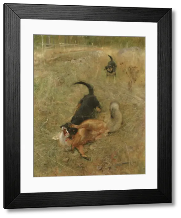 Framed Print : Swedish Foxhound and Fox, 1885. Creator: Bruno Liljefors Framed Print : Swedish Foxhound and Fox, 1885. Creator: Bruno Liljefors