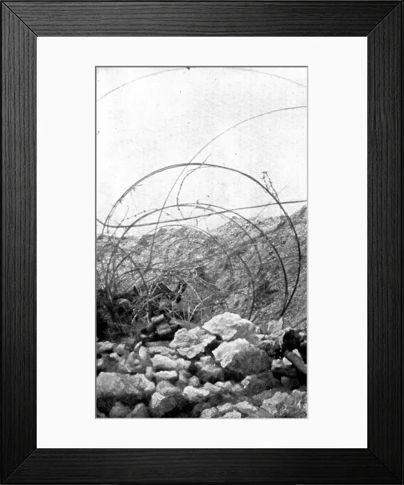 Framed Print : Life in the trenches in Champagne; In the wires of an adjoining trench... 1917. Creator: Unknown Framed Print : Life in the trenches in Champagne; In the wires of an adjoining trench... 1917. Creator: Unknown