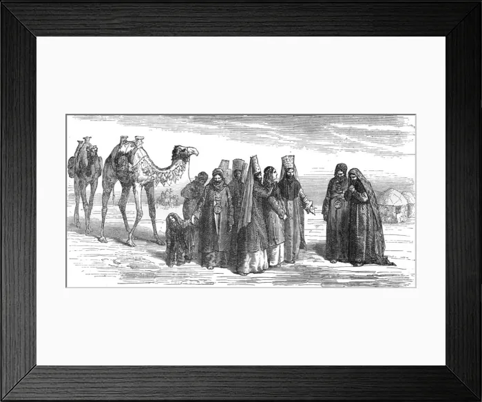 Framed Print : A Bokharian Bride; Notes on Western Turkistan, 1875. Creator: Unknown Framed Print : A Bokharian Bride; Notes on Western Turkistan, 1875. Creator: Unknown