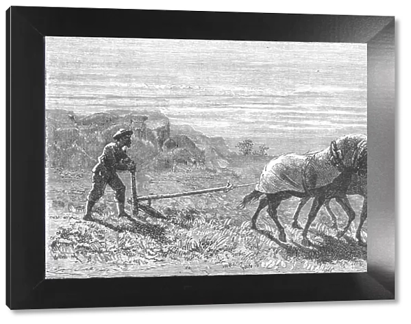 Ploughing in Turkestan; Notes on Western Turkistan, 1875. Creator: Unknown