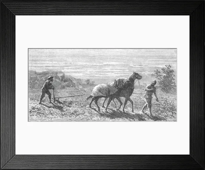 Framed Print : Ploughing in Turkestan; Notes on Western Turkistan, 1875. Creator: Unknown Framed Print : Ploughing in Turkestan; Notes on Western Turkistan, 1875. Creator: Unknown