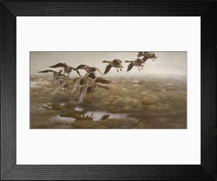 Framed Print : Wildgeese Settling, 1907. Creator: Bruno Liljefors Framed Print : Wildgeese Settling, 1907. Creator: Bruno Liljefors