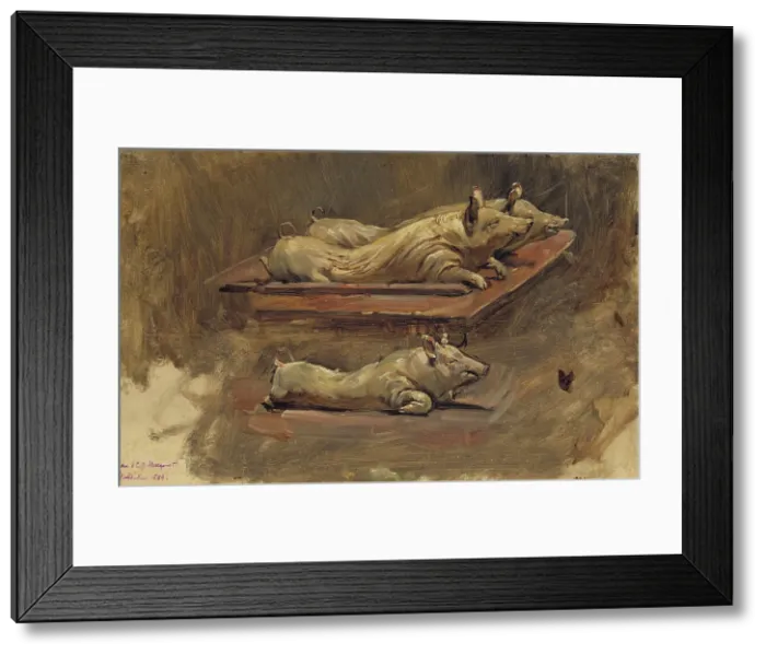 Framed Print : Pigs. Study for During Fasting Time, 1884. Creator: Carl Gustaf Hellqvist Framed Print : Pigs. Study for During Fasting Time, 1884. Creator: Carl Gustaf Hellqvist