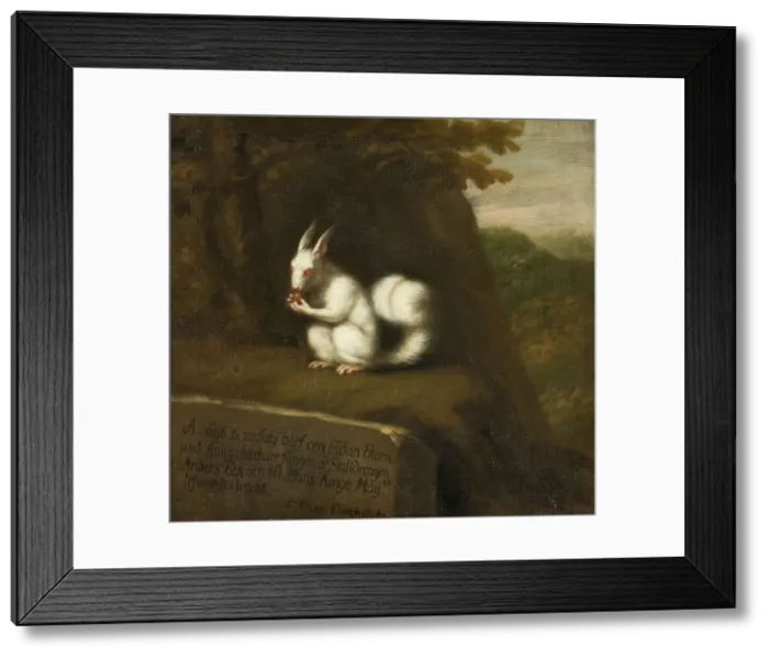 Framed Print : White Squirrel in a Landscape, 1697. Creator: David Klocker Ehrenstrahl Framed Print : White Squirrel in a Landscape, 1697. Creator: David Klocker Ehrenstrahl