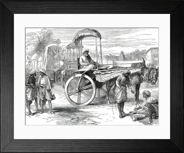 Framed Print : Ekas, Bengal Presidency, from a sketch by one of our special artists, 1876. Creator: Unknown Framed Print : Ekas, Bengal Presidency, from a sketch by one of our special artists, 1876. Creator: Unknown
