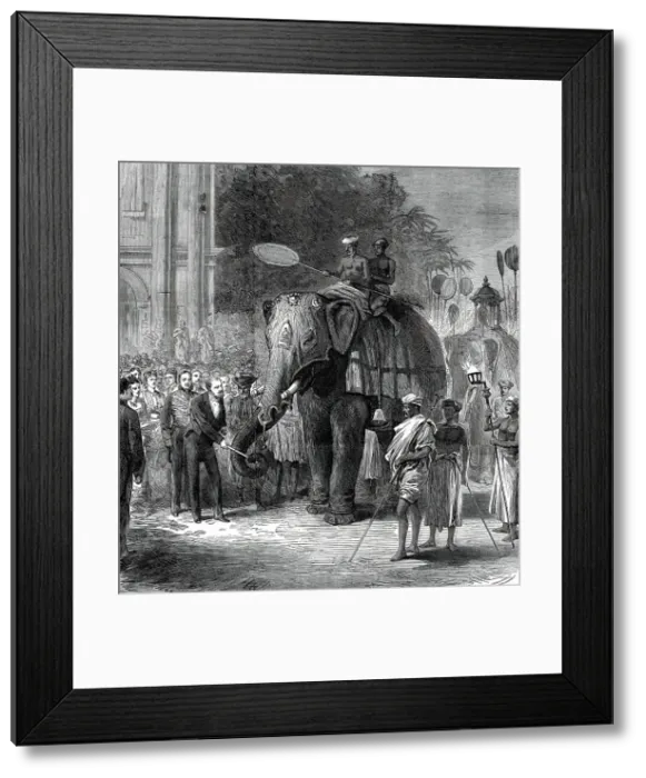 Framed Print : The Prince giving sugar-cane to the elephants at the rehearsal of the Perahara, Kandy... 1876. Creator: Unknown Framed Print : The Prince giving sugar-cane to the elephants at the rehearsal of the Perahara, Kandy... 1876. Creator: Unknown