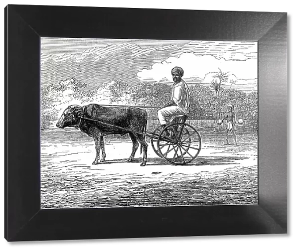 Ramasawmy going to Bazaar, Madras, 1876. Creator: Unknown