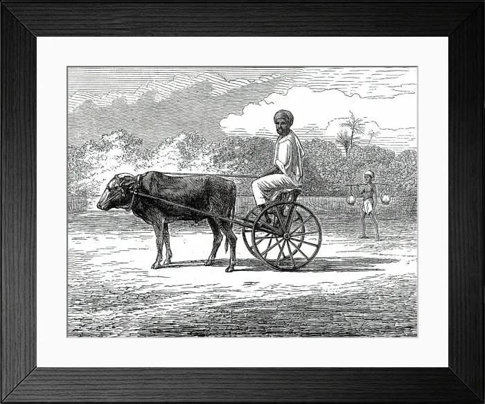 Framed Print : Ramasawmy going to Bazaar, Madras, 1876. Creator: Unknown