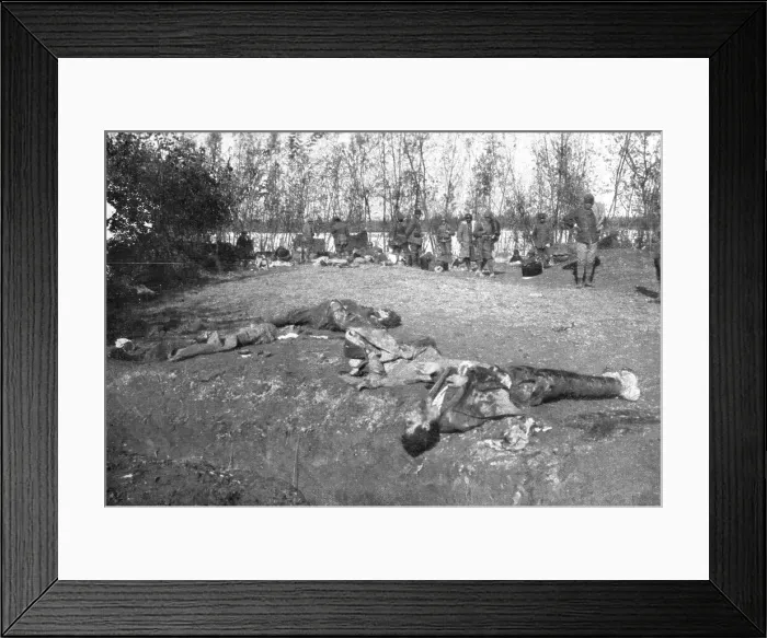 Framed Print : The Italians turn things around; Bodies of Austrian soldiers killed by Italian fire.. 1917. Creator: Unknown Framed Print : The Italians turn things around; Bodies of Austrian soldiers killed by Italian fire.. 1917. Creator: Unknown