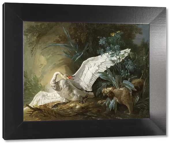 Water Spaniel Surprising a Swan on its Nest, 1740. Creator: Jean-Baptiste Oudry