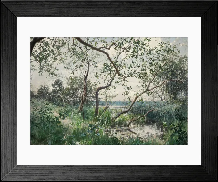 Framed Print : Aquatic Vegetation - Motif from Ostergotland, 1885. Creator: Johan Krouthén Framed Print : Aquatic Vegetation - Motif from Ostergotland, 1885. Creator: Johan Krouthén