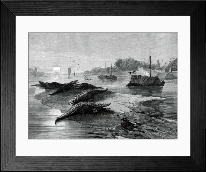 Framed Print : The Royal Visit to India: the Ganges, from a sketch by one of our special artists, 1876. Creator: Unknown Framed Print : The Royal Visit to India: the Ganges, from a sketch by one of our special artists, 1876. Creator: Unknown
