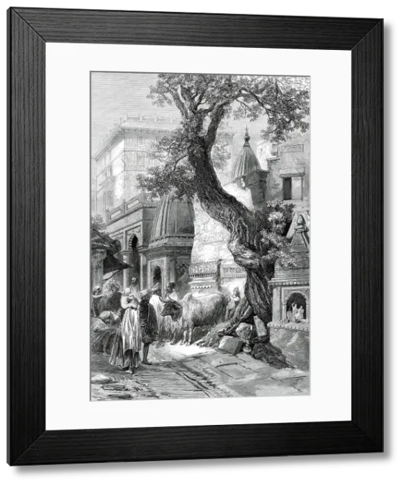 Framed Print : Street in Benares, from a sketch by of our special artists, 1876. Creator: Unknown Framed Print : Street in Benares, from a sketch by of our special artists, 1876. Creator: Unknown