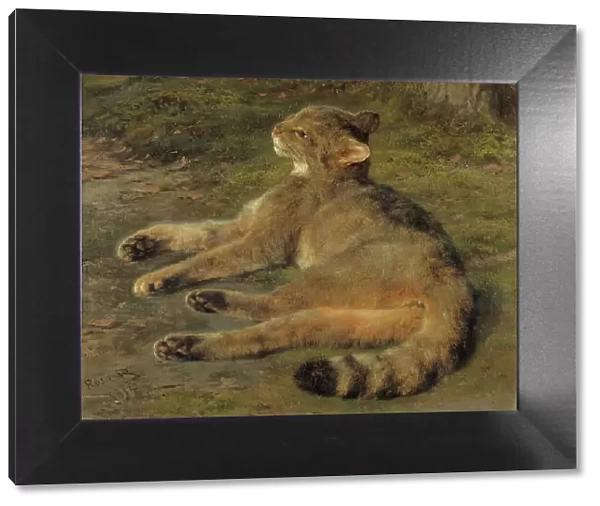 Wild Cat, 1850. Creator: Rosa Bonheur